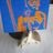 Jacques Golub-Valois's profile picture