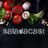 saladacast