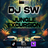 SW.DnB's profile picture