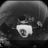 Craig Smith's profile picture