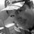 Cassiano Lima's profile picture