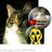Ingrid Padmos's profile picture