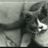 Rie's profile picture