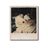Archivo Sonido Dueñez's profile picture