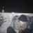 винер's profile picture