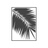 Palmera Blanca Radio's profile picture
