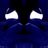 Megha Chatterjee's profile picture