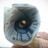 Dusan Milanov's profile picture