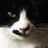 Kero Mi's profile picture