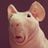 ainsword's profile picture