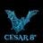 cesar8's profile picture