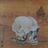 Harry Amond's profile picture