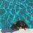 Laura Jane Hipkiss's profile picture
