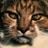 Annette Smith's profile picture