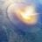 MavEric1964's profile picture