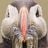 Takayuki Goto's profile picture