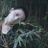 张琳希's profile picture