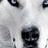 brumar's profile picture