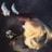 Natalie Marie Bridge's profile picture