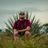 Bial Hclap's profile picture