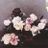Masao Ida's profile picture