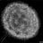 Boto Gardens's profile picture