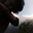 seismic silence's profile picture