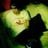 Nic Palar's profile picture
