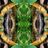 A.siento en el Presente's profile picture