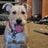 Paul Anthony Pedone Jr.'s profile picture