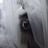 Mary Mackinnon's profile picture