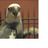 Scott Augustus's profile picture