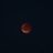 Lucas_Em's profile picture