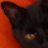 egon frinz's profile picture