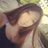 Alexandra Szendrei's profile picture