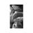 Julia Baldi's profile picture