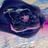 VMixxed's profile picture