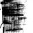 Atro Pine's profile picture