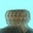 Peter Armster's profile picture