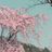 GAKUTO's profile picture