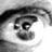 BRECHT  D  (mol rec.)'s profile picture