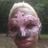 Sprinkled Pink's profile picture
