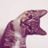 Mic Jagger's profile picture