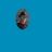 mottogrm's profile picture