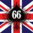 anomis66