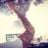 DJDLOOSE's profile picture