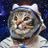 Michi Lunar's profile picture