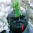 Roy Stokes's profile picture