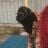 ketateka's profile picture