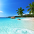 Paradise (Beach / Club)'s profile picture